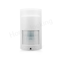 Home-Locking bedrade pir-detector DP-1303
